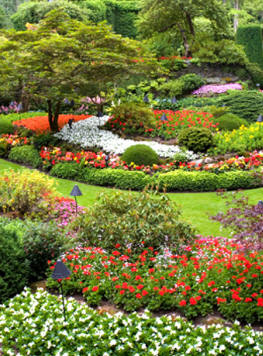 large beautiful formal garden
