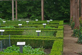 hedges protecting a formal herb garden