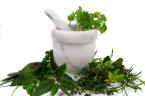 mortel and pestle with herb sprigs