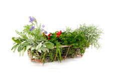 herbs in a basket planter