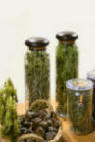 dried herbs being stored and displayed in glass jars