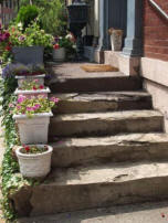 landscaping stone and potted flowers create striking stairway design 