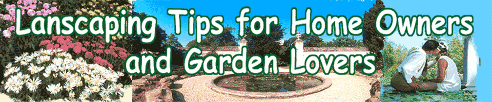 Landscaping Tips for Homeowners and Garden Lovers