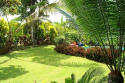 landscaping design for beautiful lawns and yards